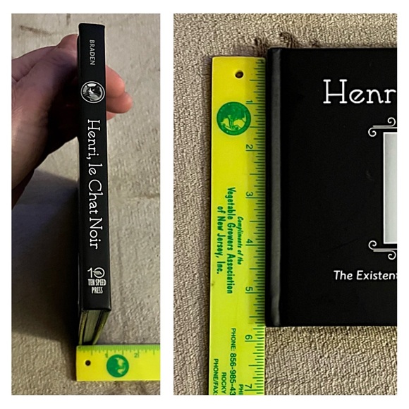 CAT HUMOR YouTube Star HENRI le CHAT NOIR Parody Satire LITTLE ART PHOTO BOOK - Picture 5 of 7